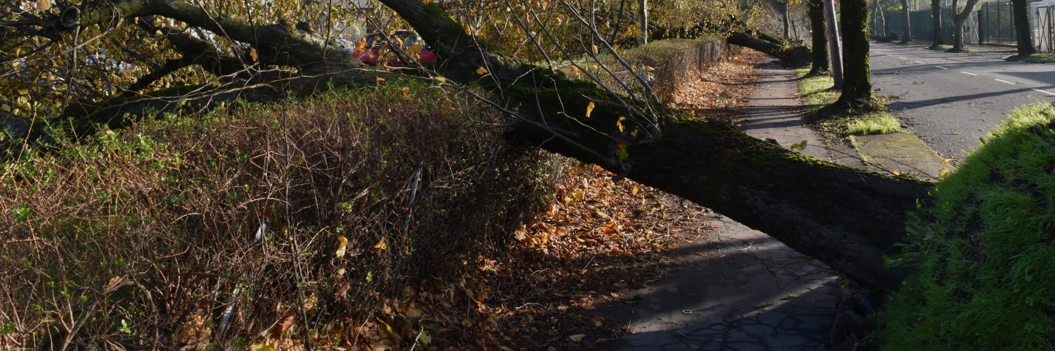 PureVolt Solar Installation Ireland