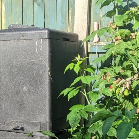 Home compost bin Ireland