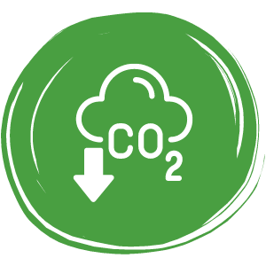 Carbon emissions in Ireland